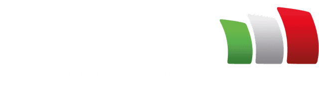 logo_laboling_white